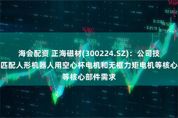 海会配资 正海磁材(300224.SZ)：公司技术可高度匹配人形机器人用空心杯电机和无框力矩电机等核心部件需求