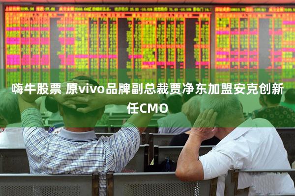 嗨牛股票 原vivo品牌副总裁贾净东加盟安克创新任CMO