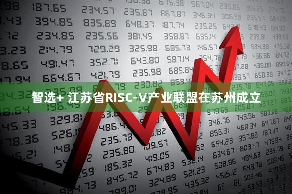 智选+ 江苏省RISC-V产业联盟在苏州成立